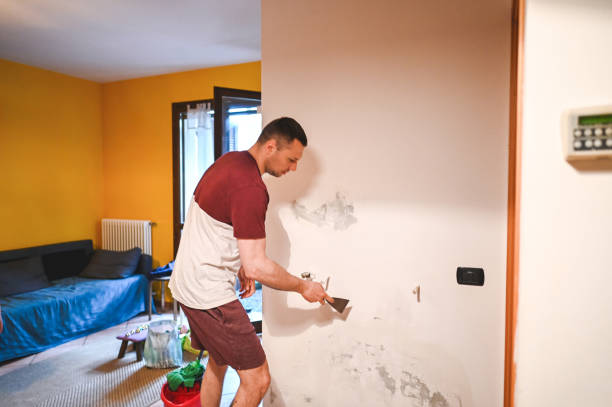 Best Commercial Mold Removal  in East Mountain, TX